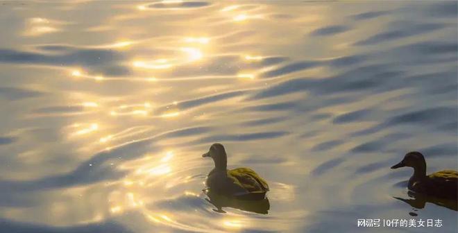 性出轨_性出轨_性出轨