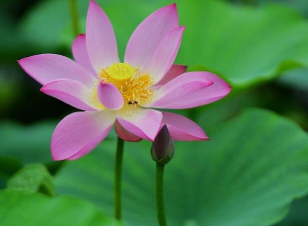 如何看待婚外情_玄学如何看待婚外情_怎样看待婚外情的男女