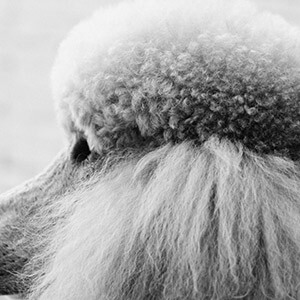 婚外情被威胁怎么办_婚外情威胁算不算恐吓罪_婚外情威胁立案