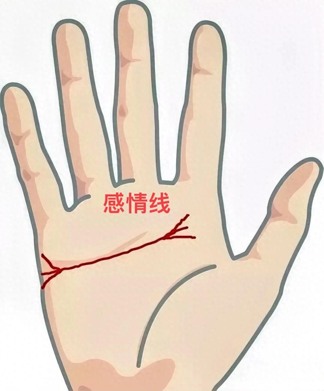 感情线_线感情线的男人_智慧线分叉到感情线上