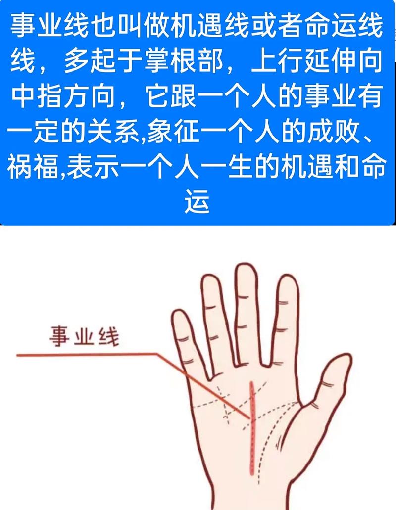 线感情线的男人_智慧线分叉到感情线上_感情线