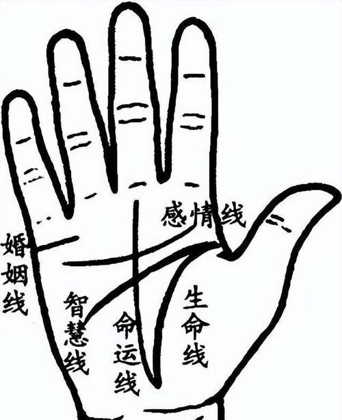 感情线_智慧线分叉到感情线上_线感情线的男人